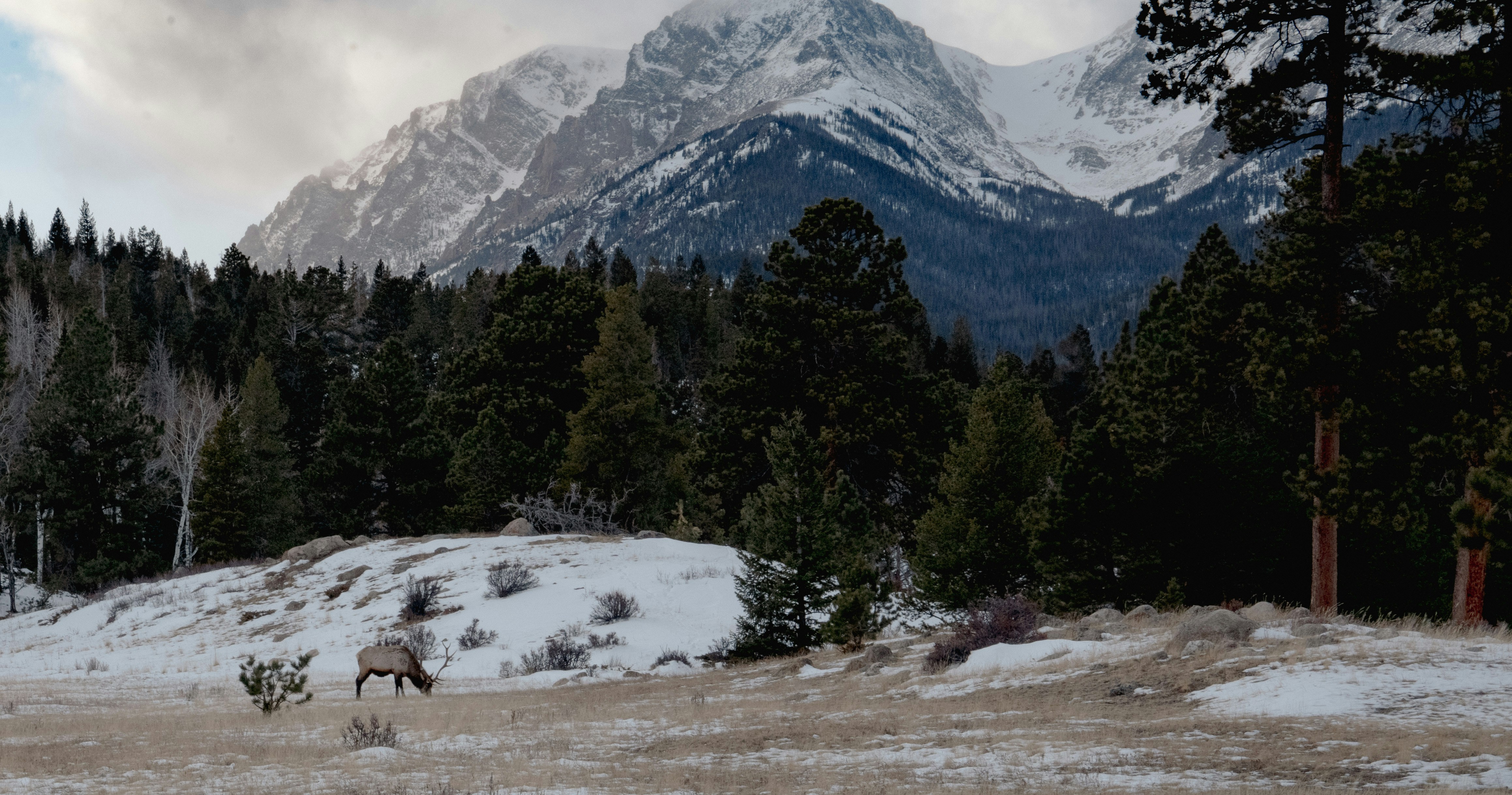 Photo by jaysonwevans