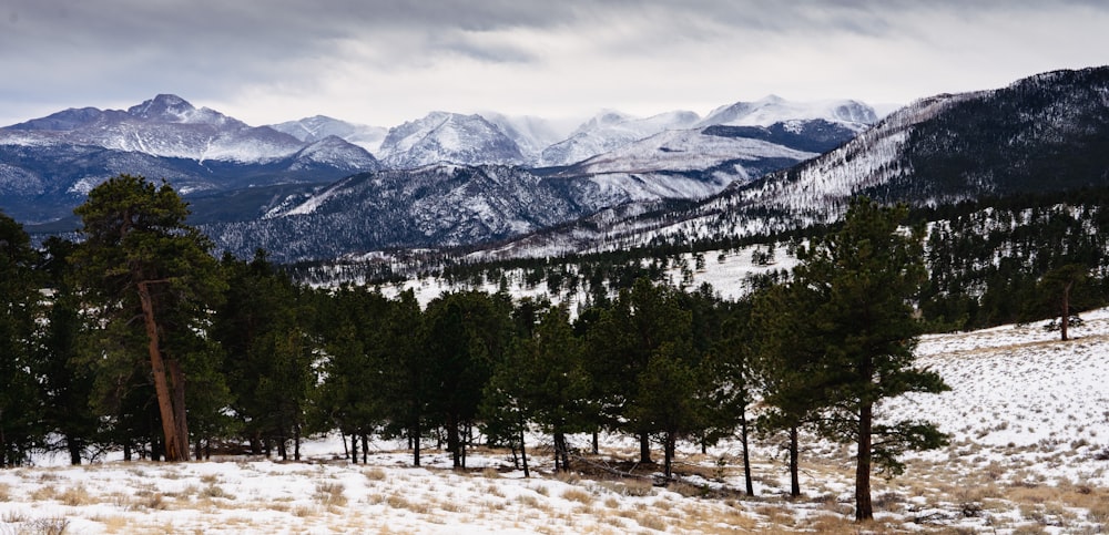 a snow covered field with trees and mountains in the background