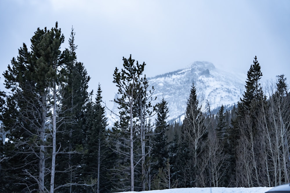 a car driving down a road in front of a snow covered mountain