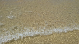 Gentle waves lapping a quiet shore, symbolizing release and renewal.