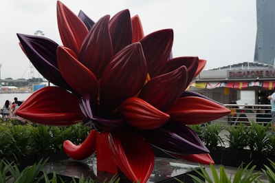 A large, vibrant sculpture resembling a partially open flower bud with thick red and purple petals is surrounded by greenery. In the background, a building with a sign 'Singapore River' can be seen, along with people walking nearby and a body of water. The sky appears overcast.