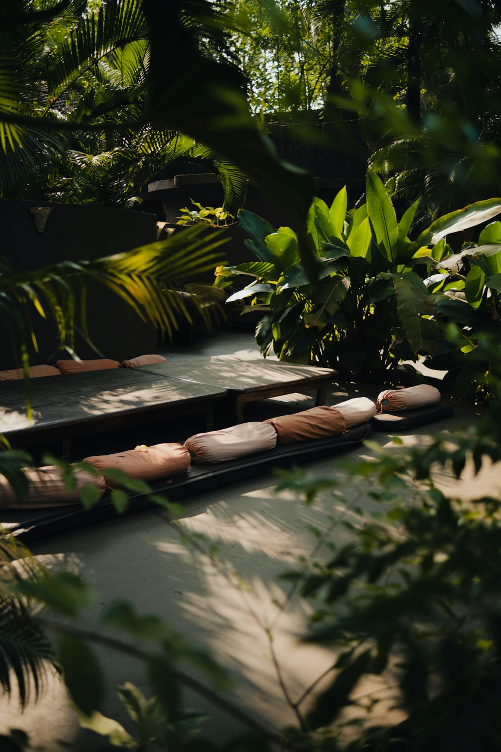 a row of canoes sitting in the middle of a forest