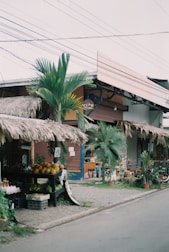 A market stall displaying various coconut-based products ready for global trade.