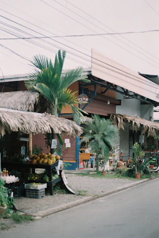 Close-up of a rustic market stall filled with fresh tropical fruits and handmade crafts under the sun.