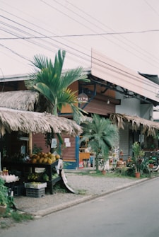 A small market stall with a thatched roof displaying a selection of fresh fruits and vegetables, including coconuts and other tropical produce. The area is surrounded by various plants and palm trees, creating a laid-back, rustic atmosphere. Electrical wires are visible overhead, and the shop has a colorful, slightly weathered appearance.