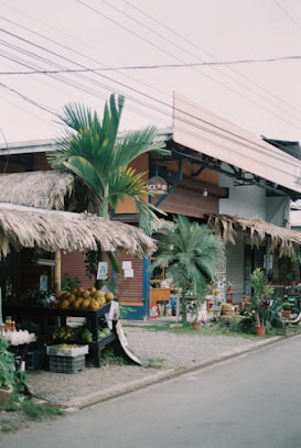 A small market stall with a thatched roof displaying a selection of fresh fruits and vegetables, including coconuts and other tropical produce. The area is surrounded by various plants and palm trees, creating a laid-back, rustic atmosphere. Electrical wires are visible overhead, and the shop has a colorful, slightly weathered appearance.