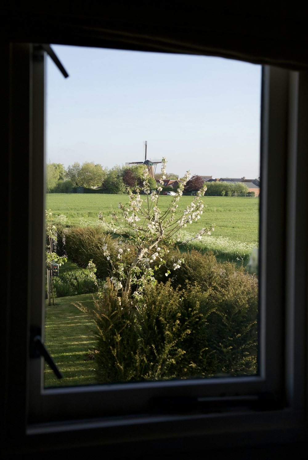 a view of a field from a window