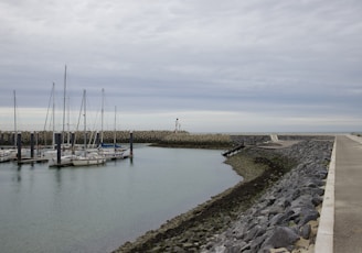 Marina docks with boats