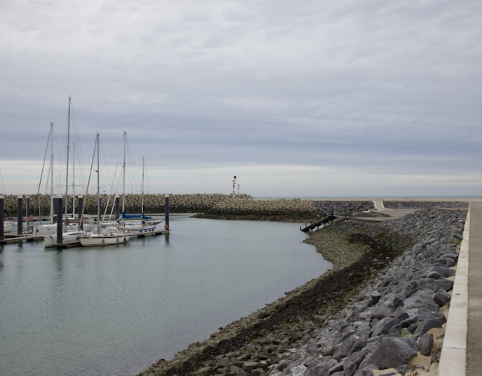 Marina docks with boats