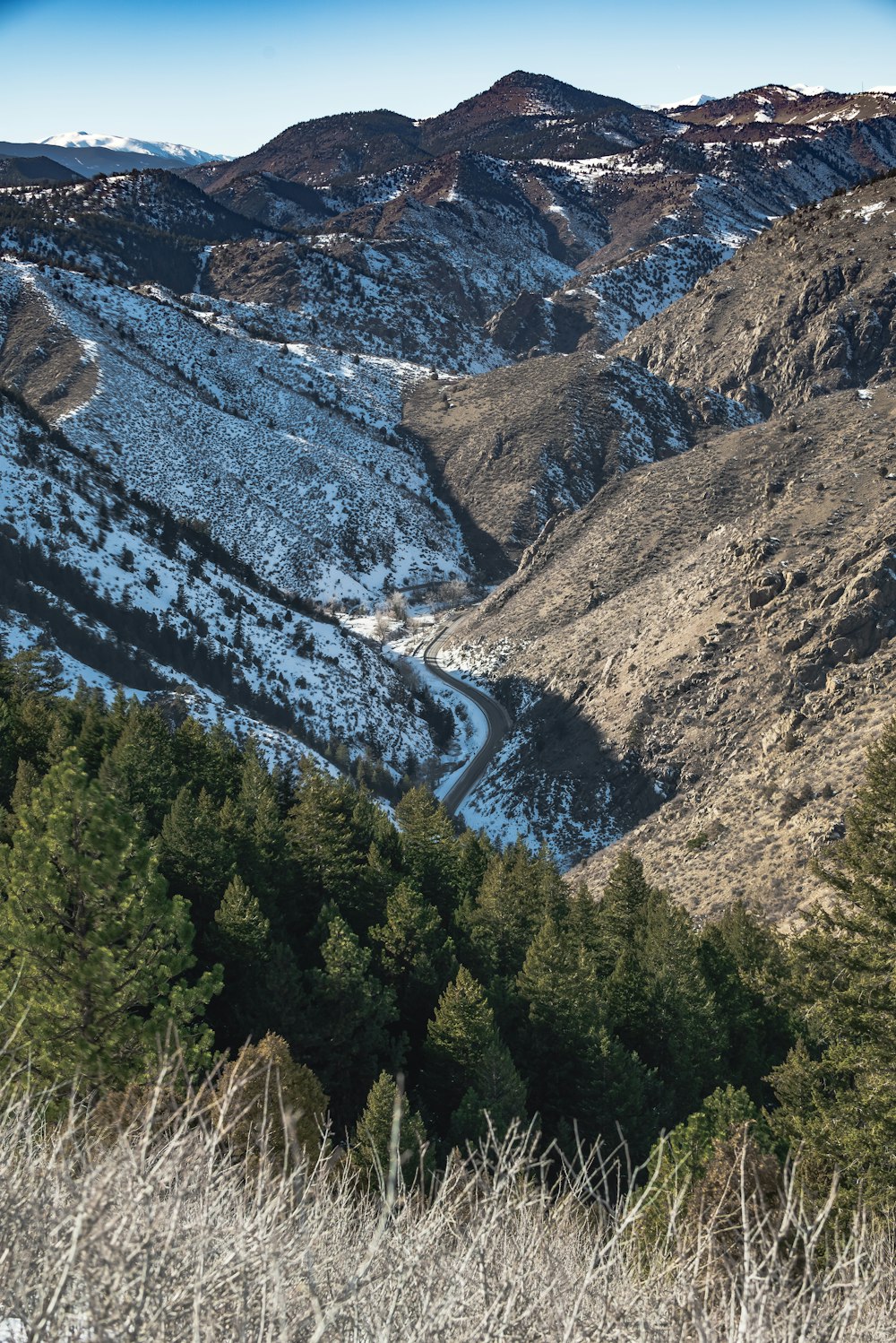 a view of a snowy mountain range with trees in the foreground