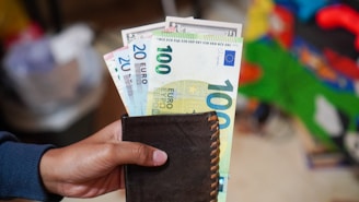 A hand is holding a black wallet from which several Euro banknotes are visible, including denominations of 20 and 100 Euros. The background is blurred, containing colors like green and red, possibly indicating a casual indoor setting.