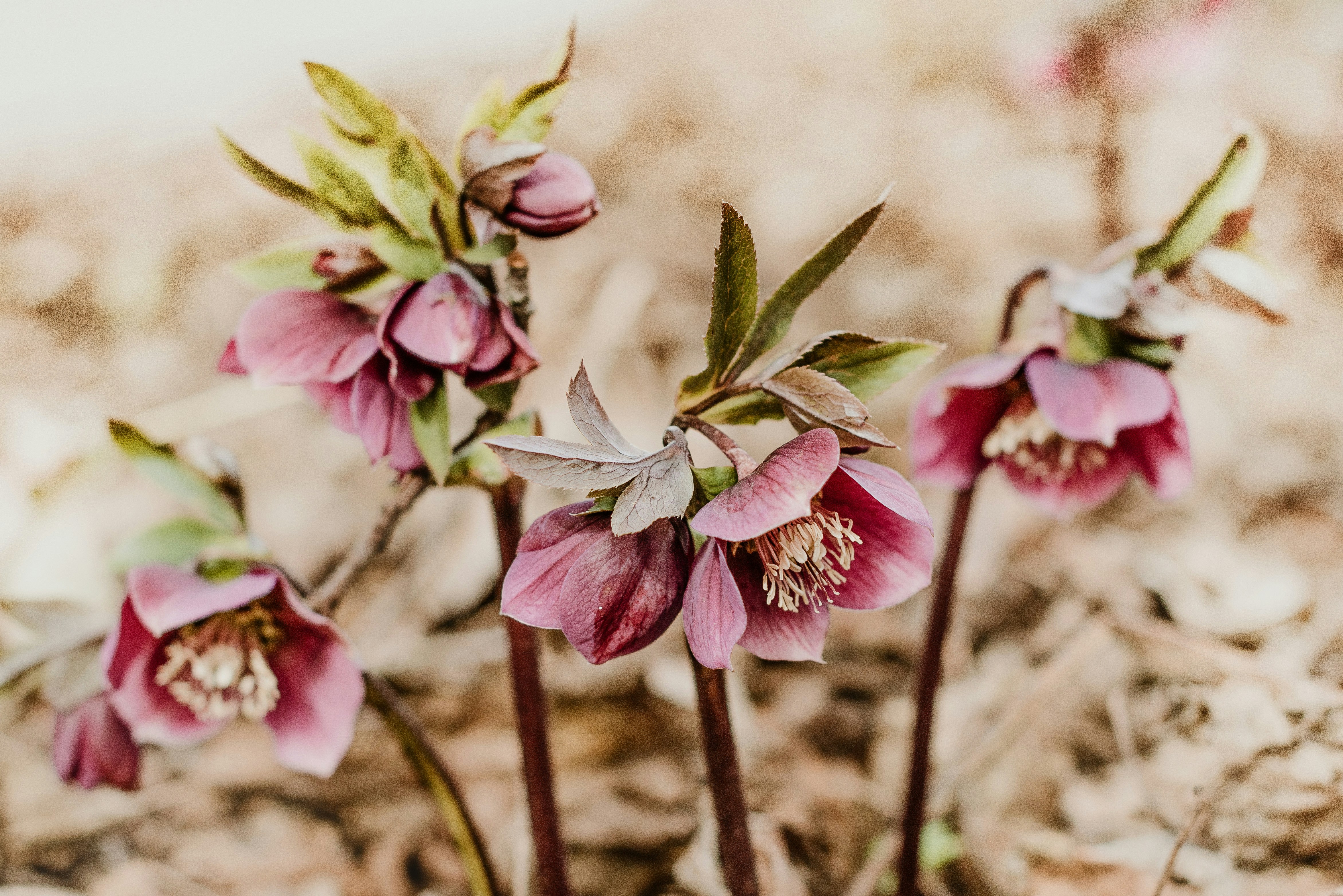 Photo by anitaaustvika