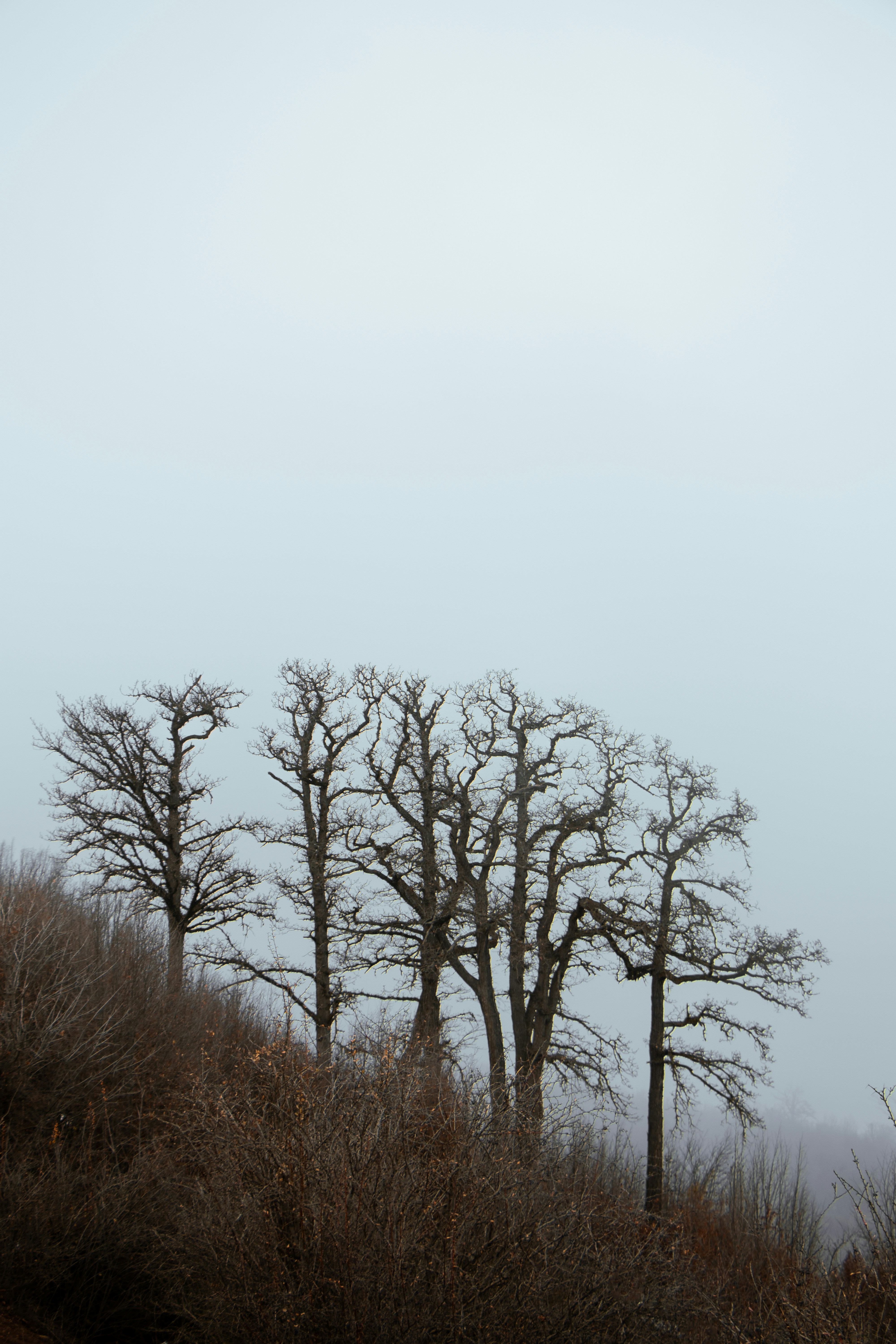 Photo by mahdibafande