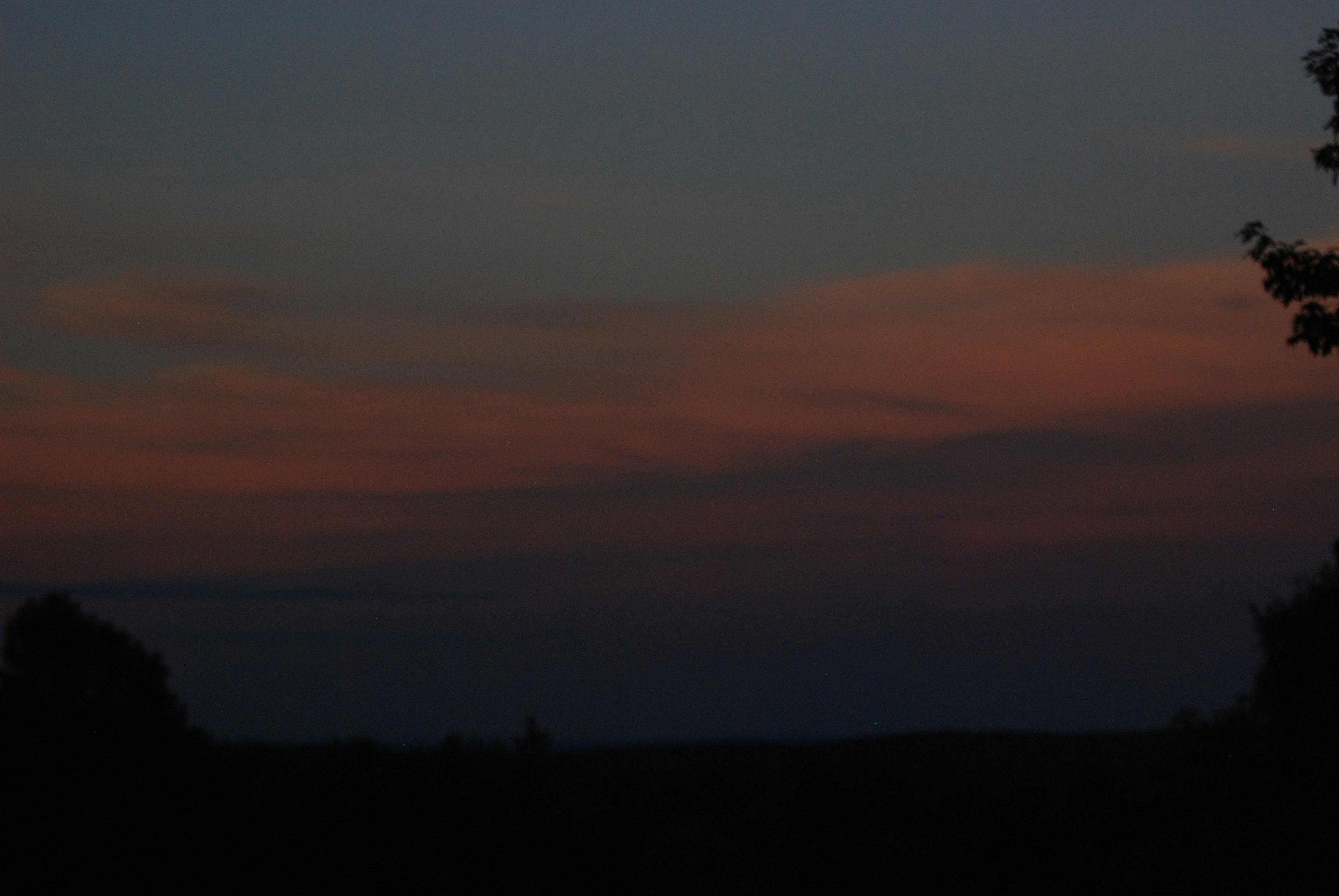 Photo by brennancavaliero