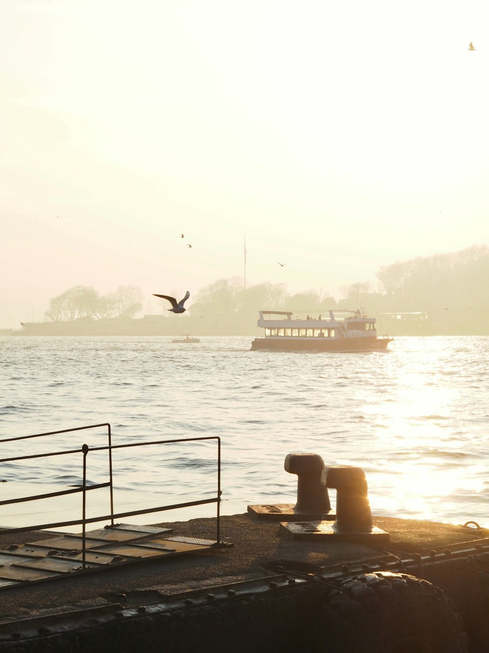 a bird flying over a body of water