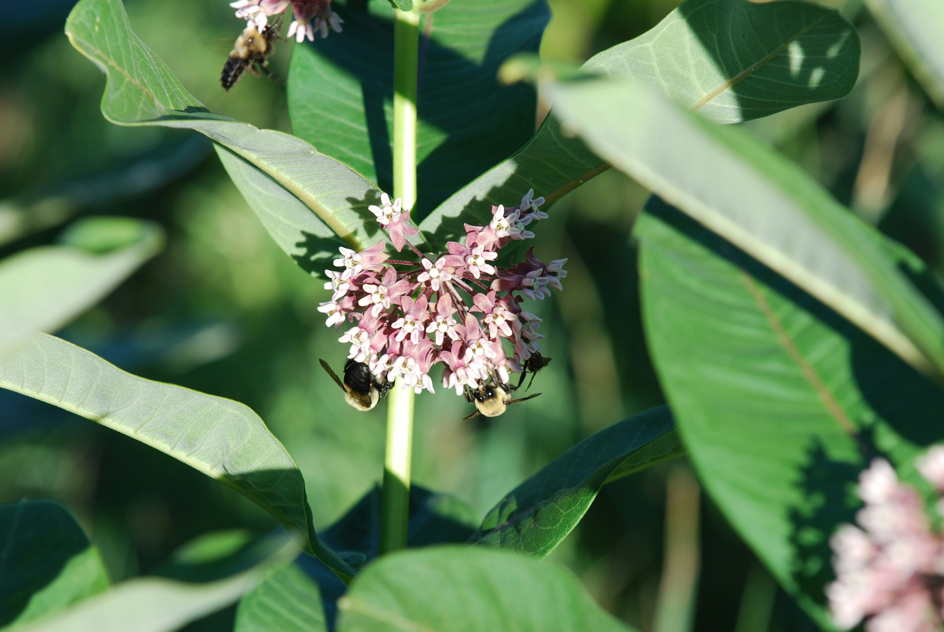 Photo by brennancavaliero