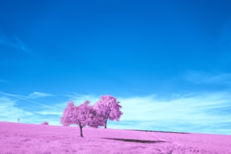 A surreal landscape featuring a vast field with grass and trees appearing in a vibrant infrared pink shade under a clear, vivid blue sky. The contrast between the sky and the land creates an otherworldly atmosphere.