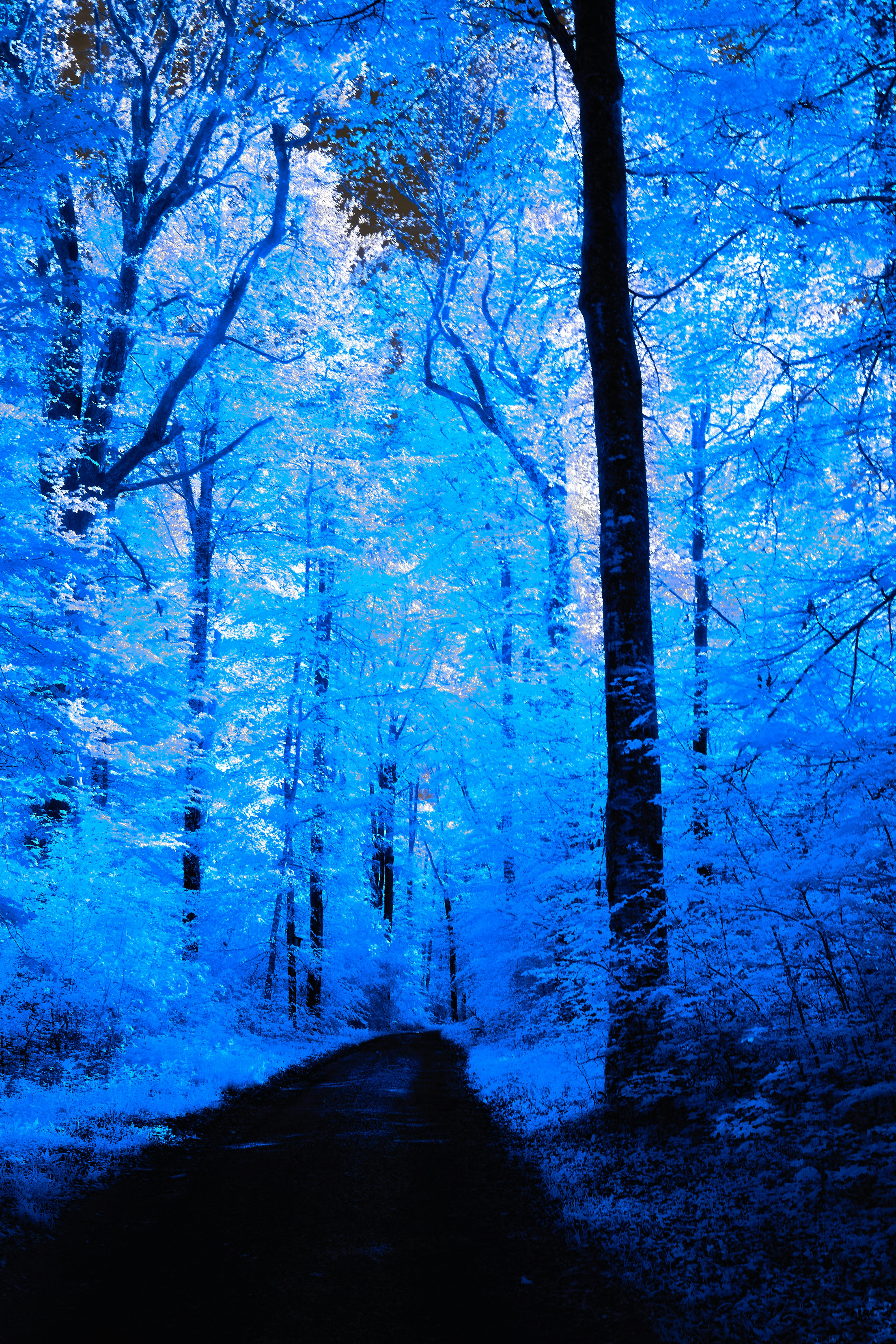 Photo by wolfgang_hasselmann