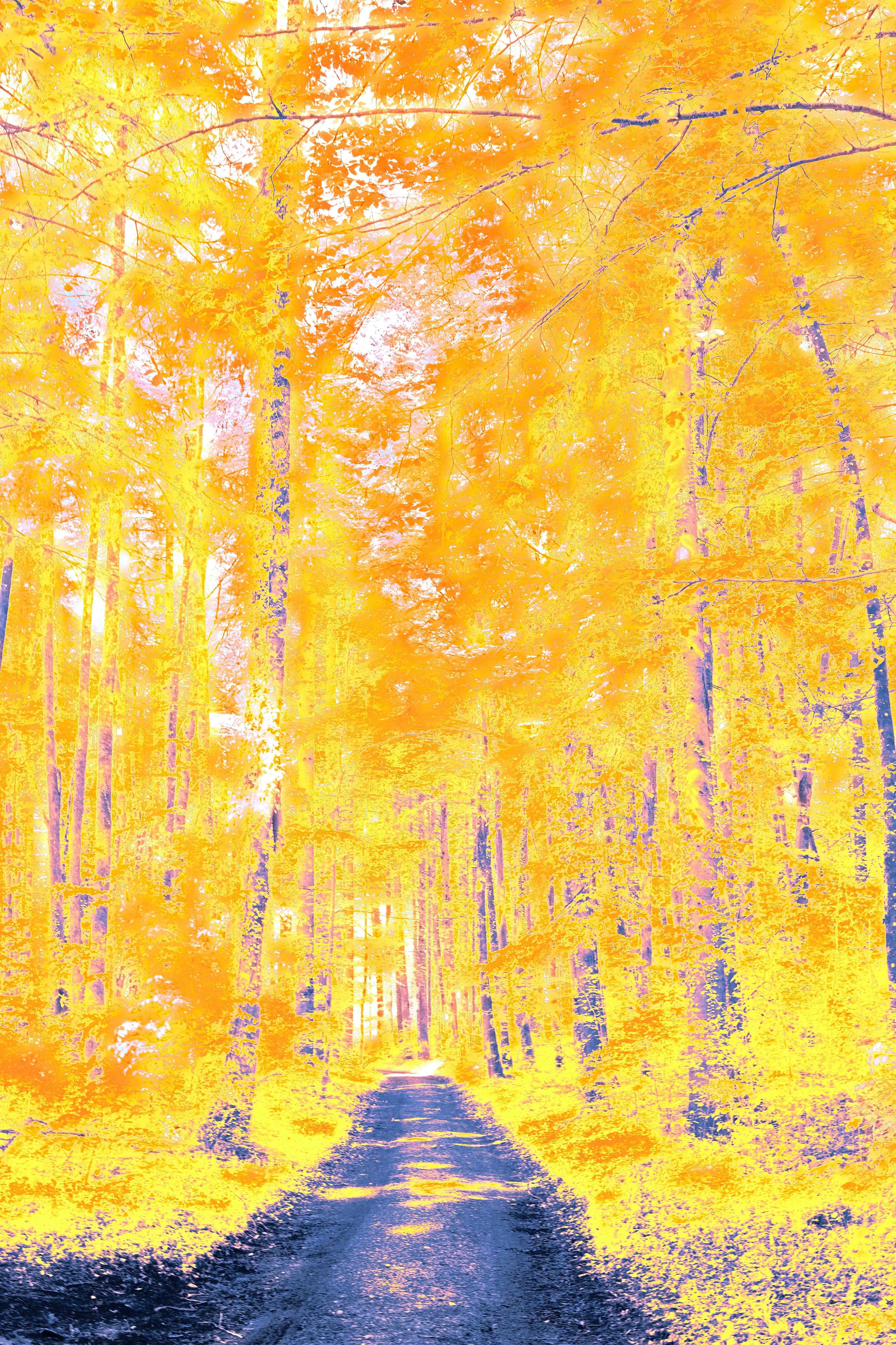 Photo by wolfgang_hasselmann