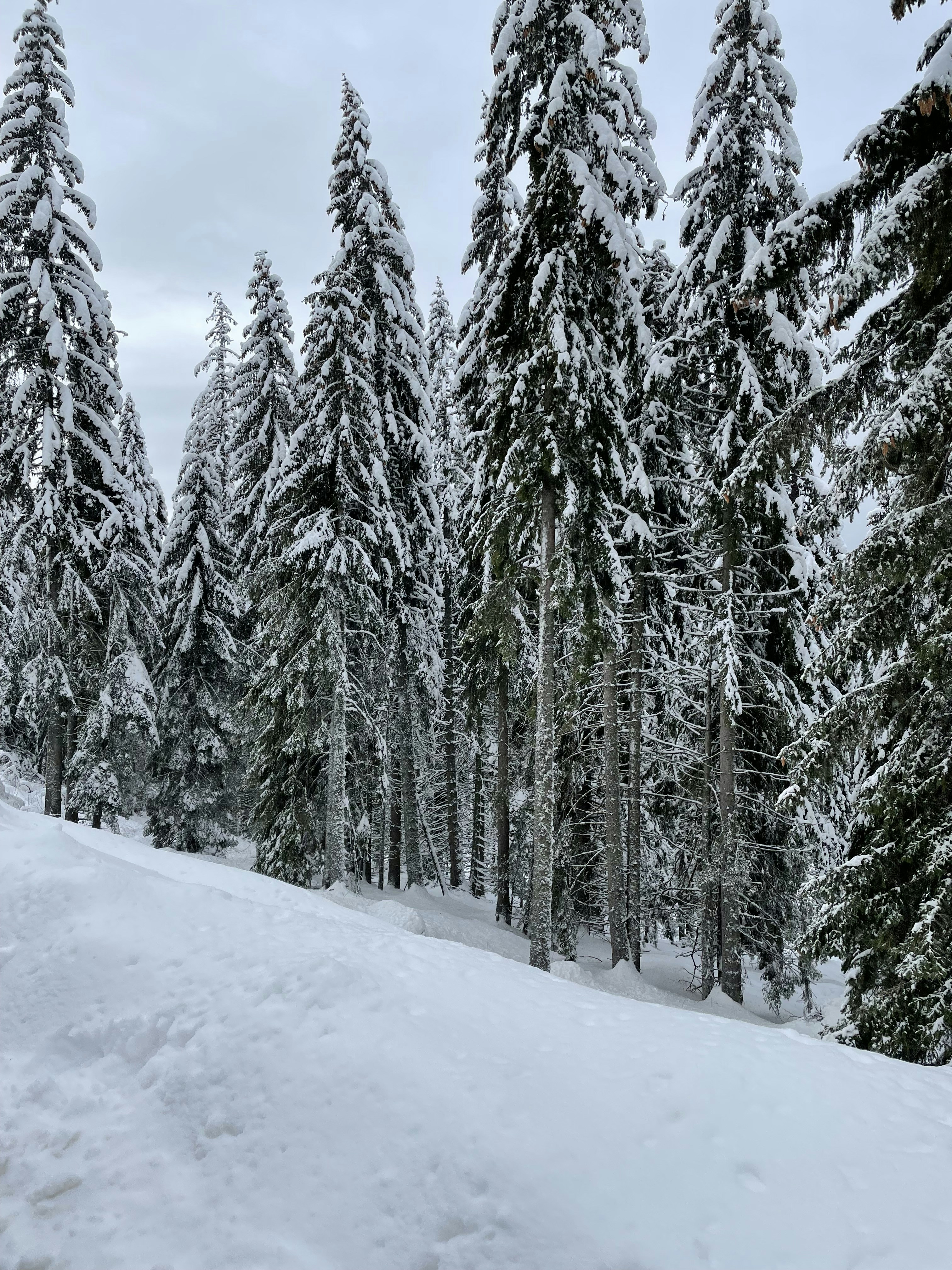 Photo by sonyamaria15