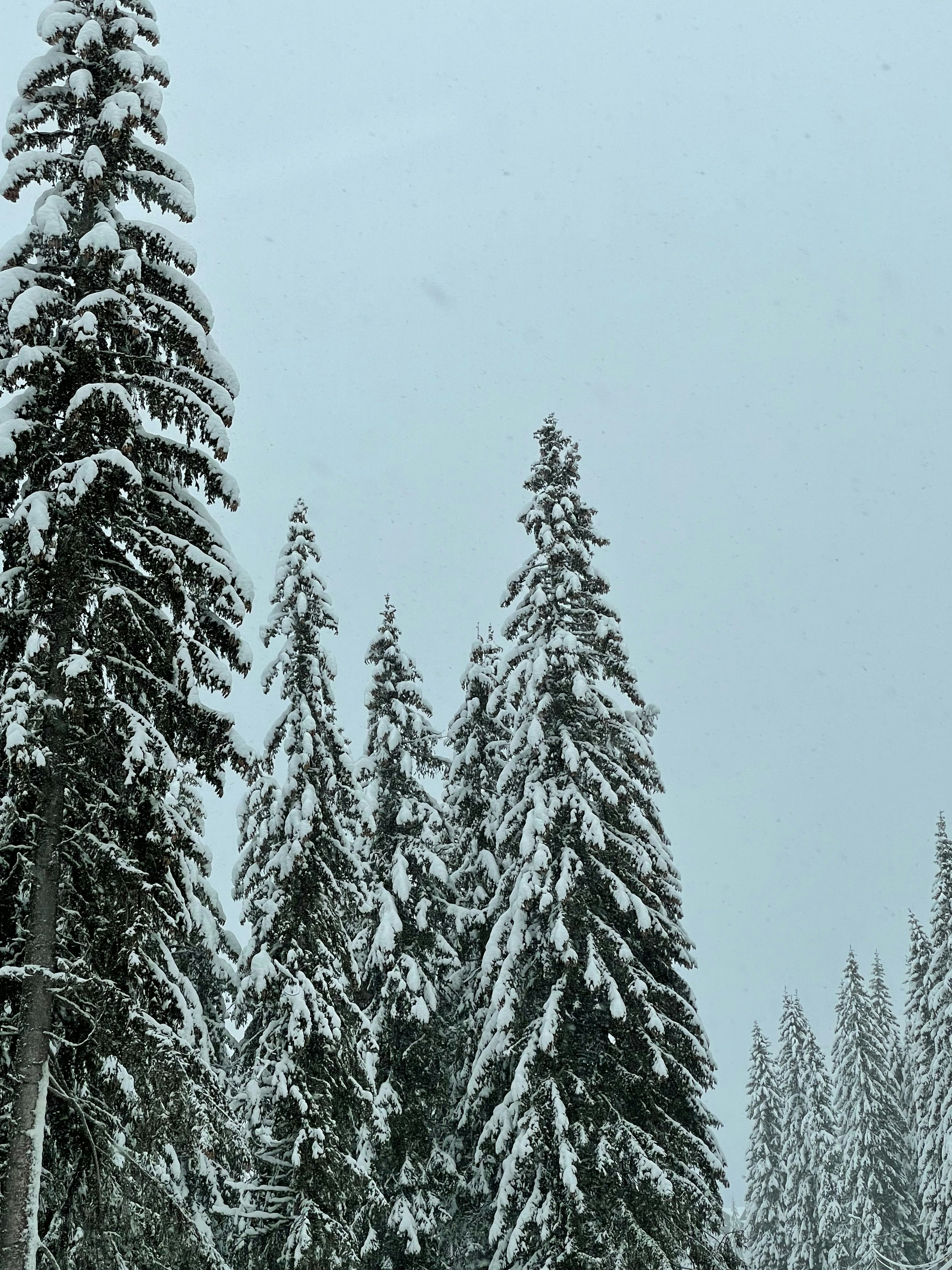 Photo by sonyamaria15