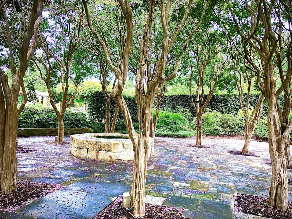 a stone bench surrounded by trees in a park