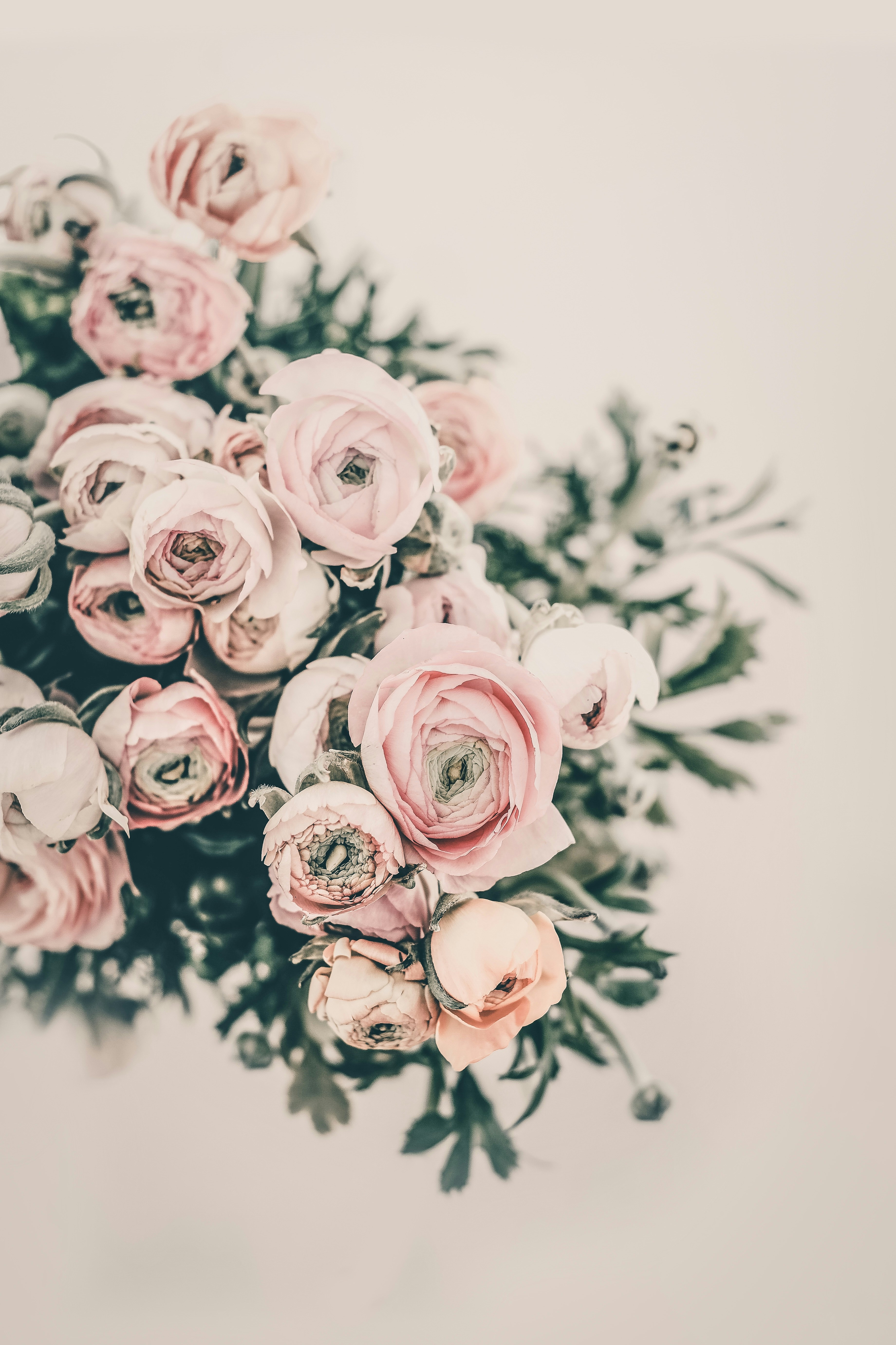 Photo by anitaaustvika