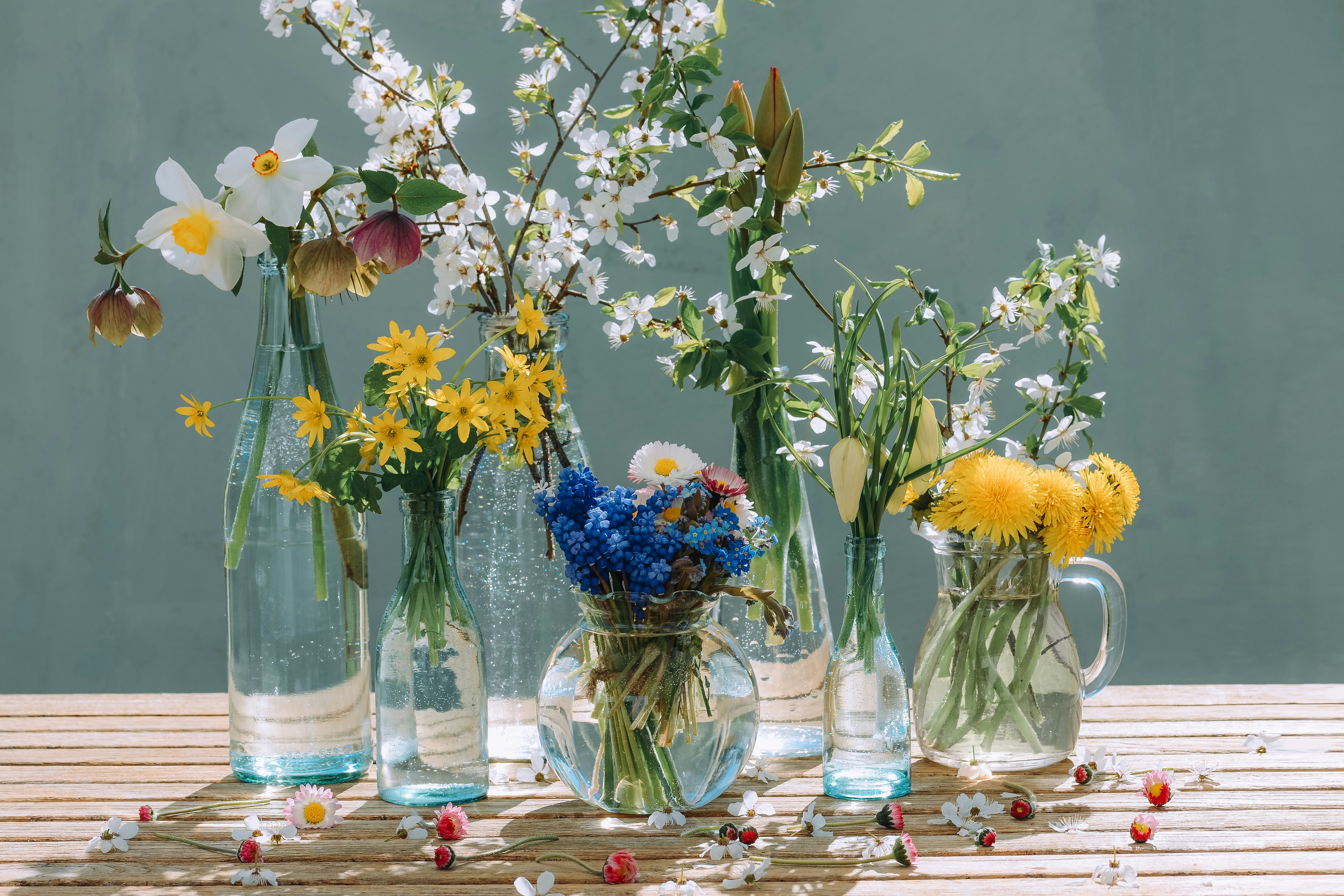 Photo by anitaaustvika