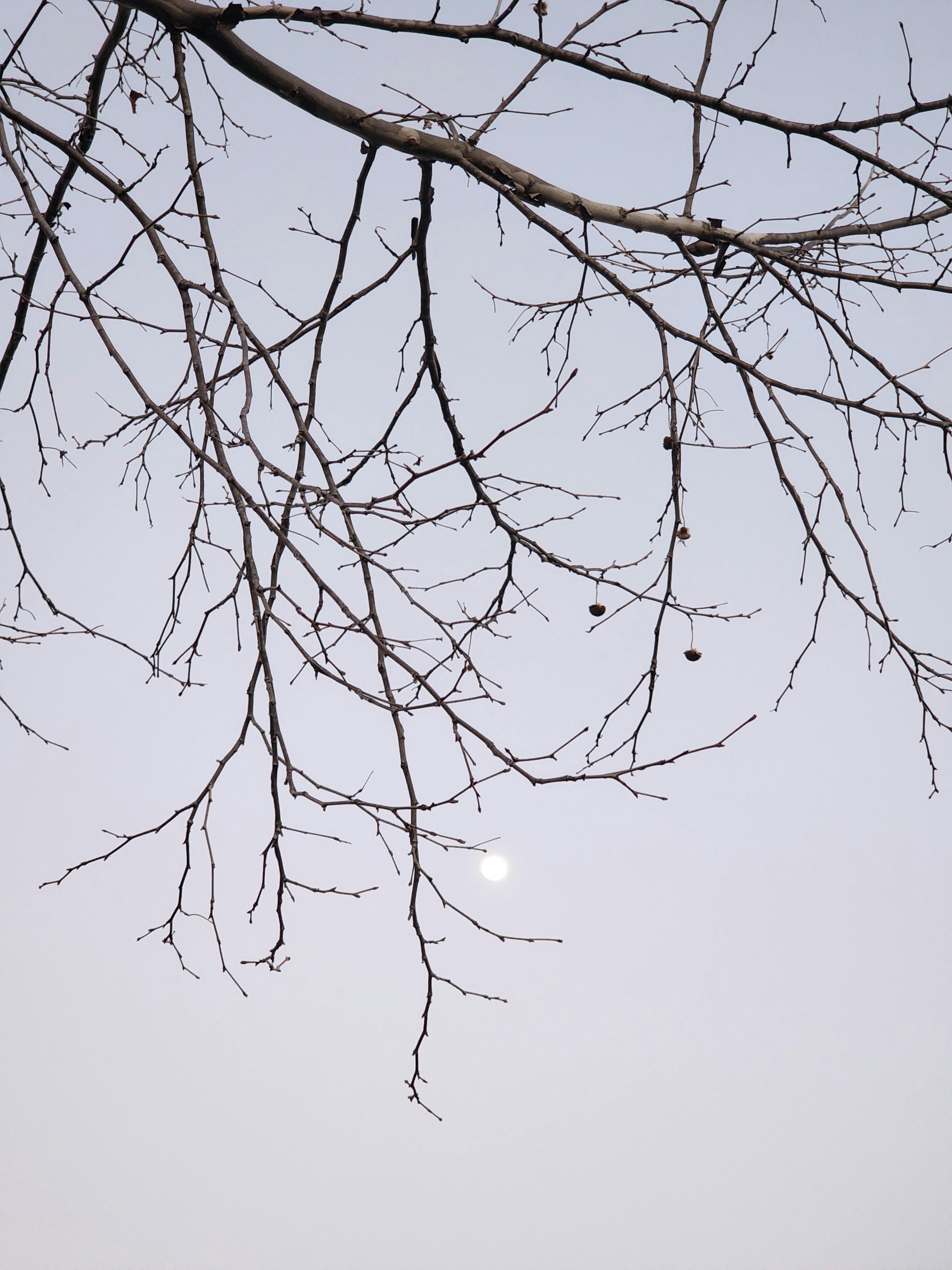 Photo by endlessdreamer