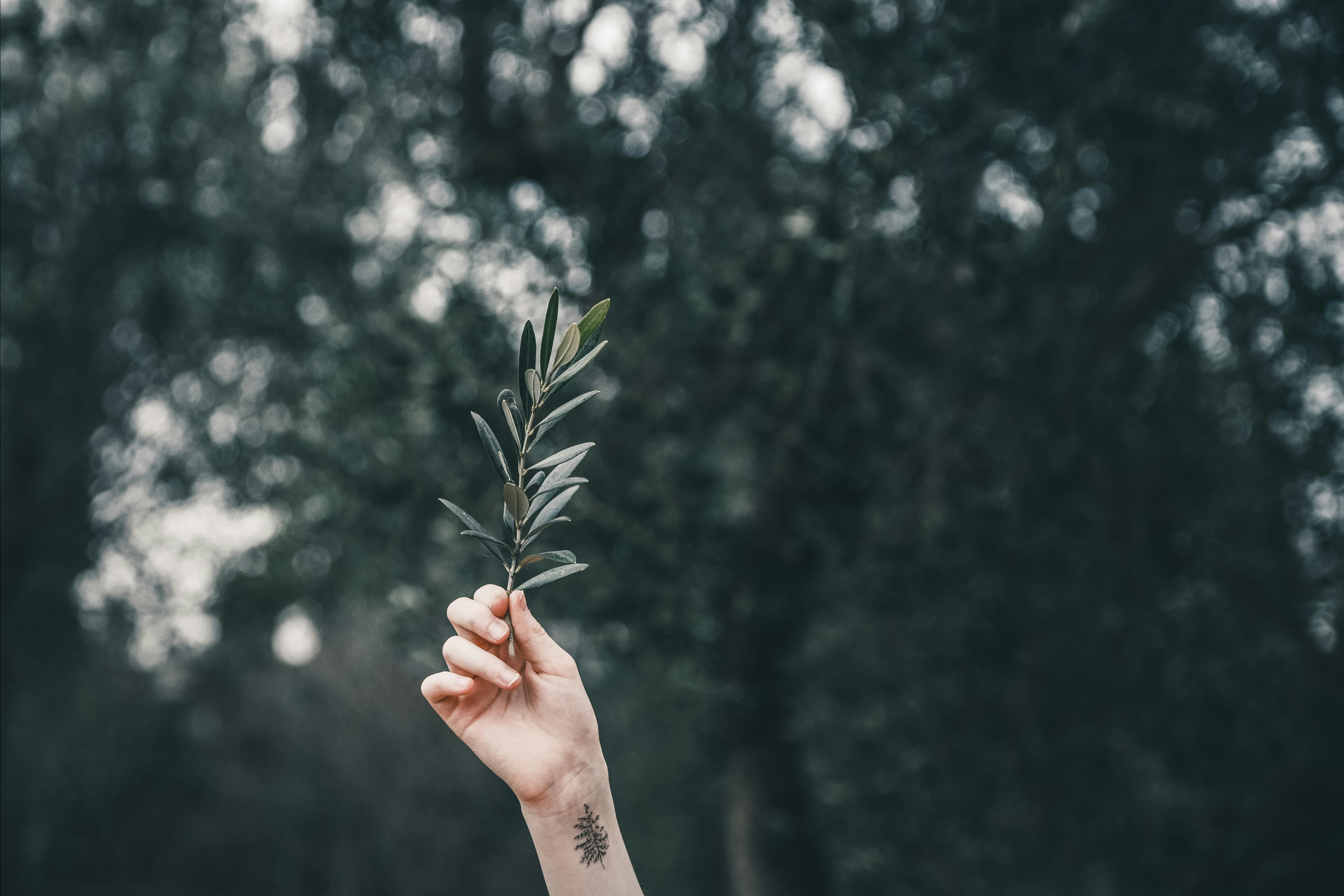 Photo by anitaaustvika