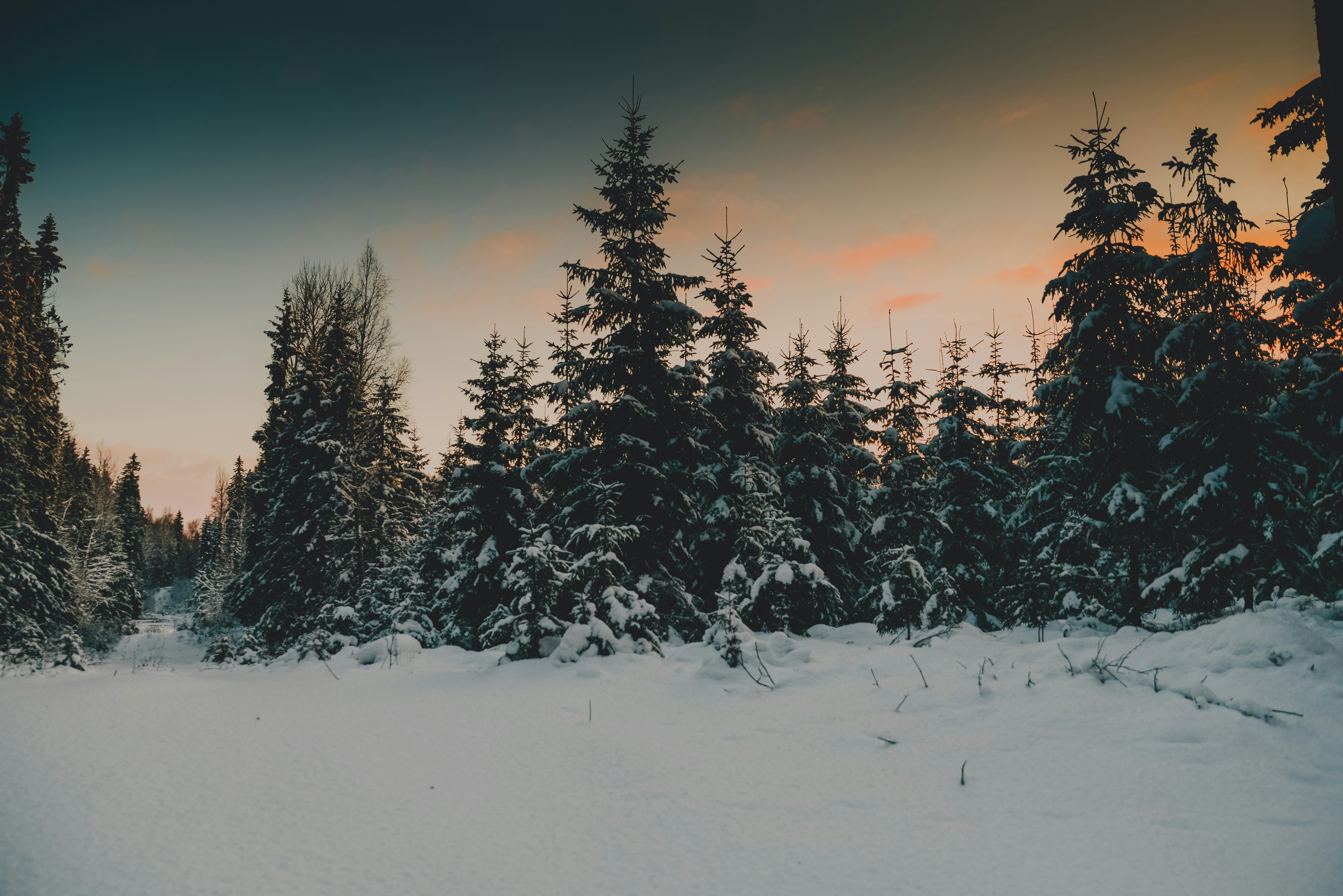 Photo by anitaaustvika