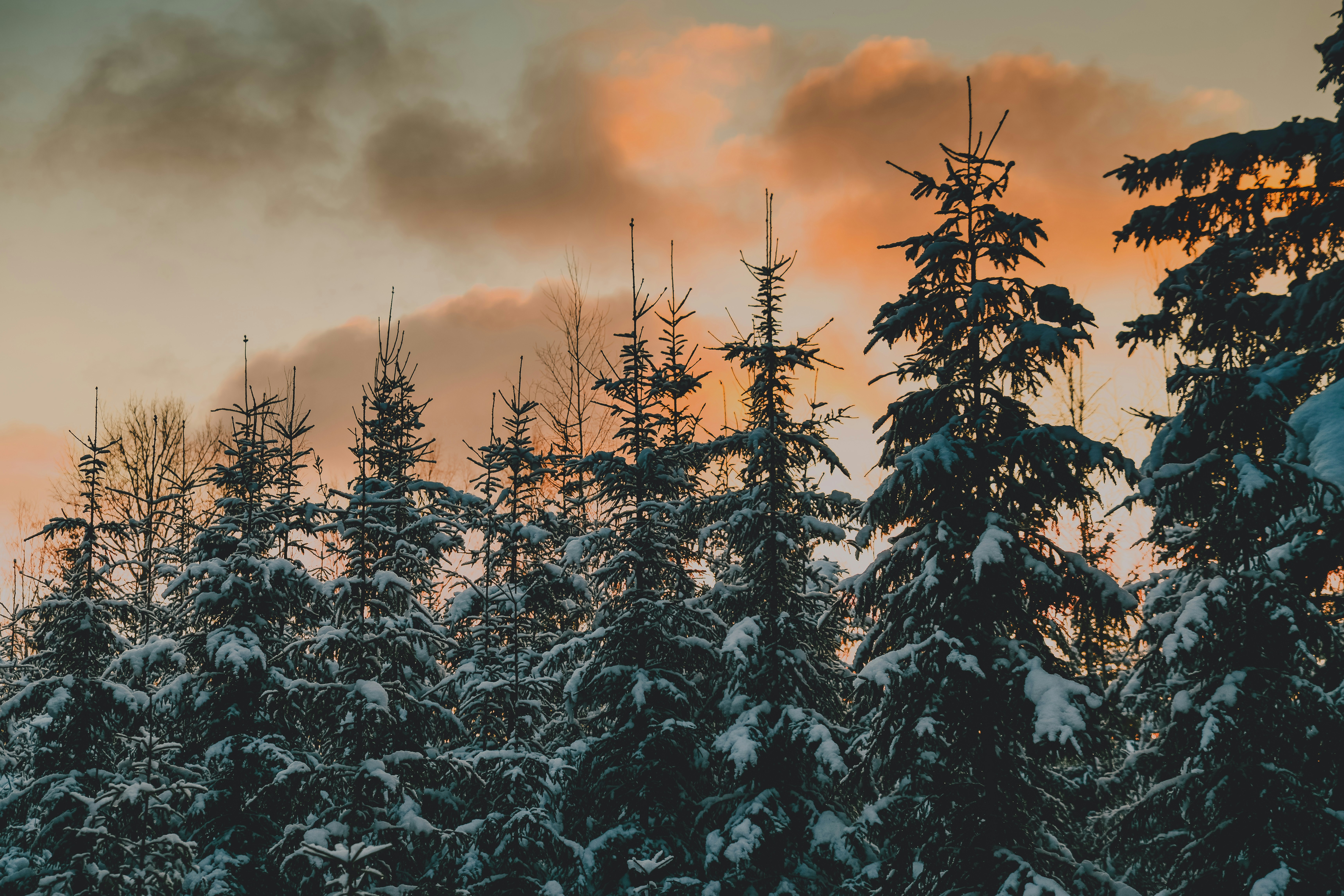 Photo by anitaaustvika