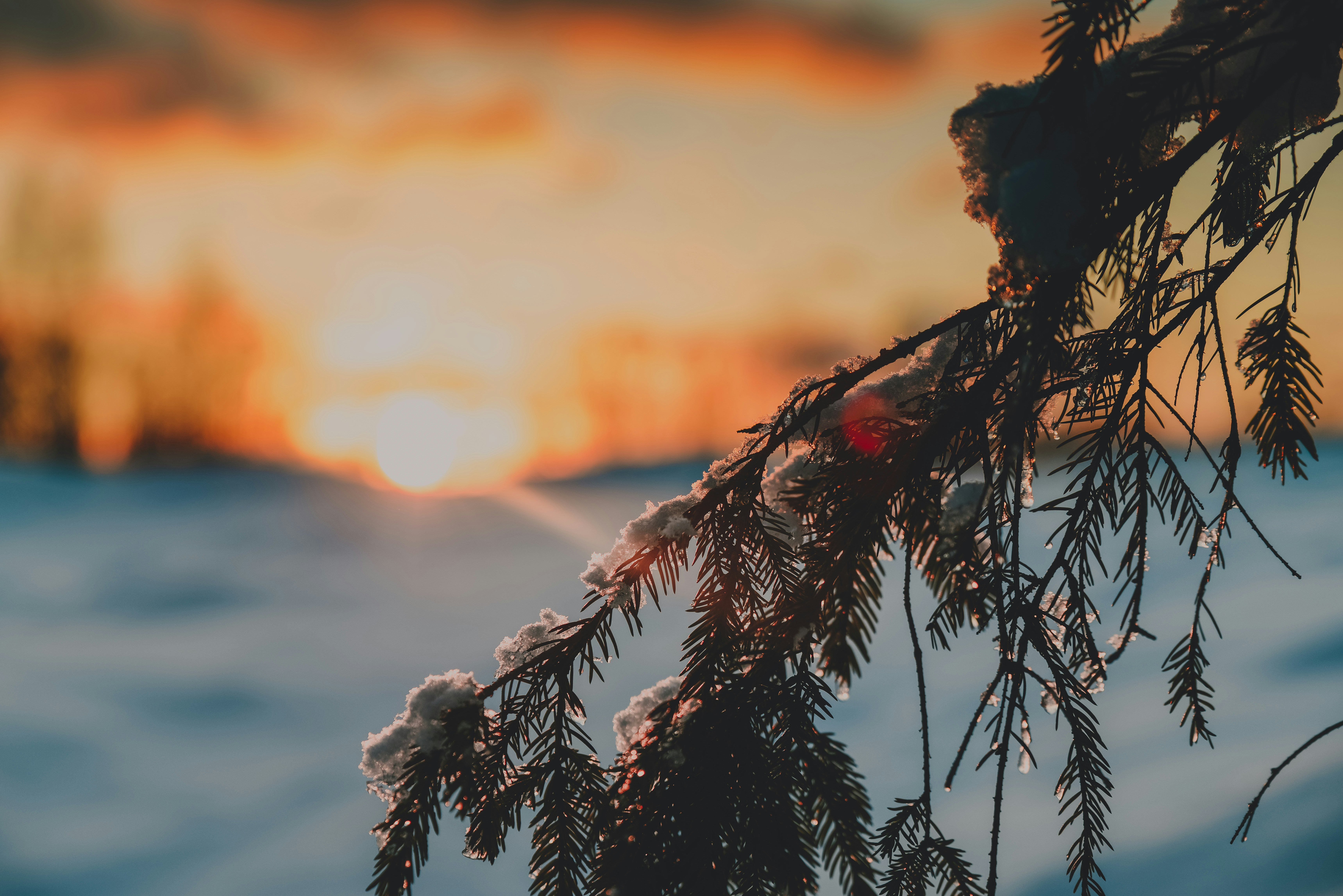 Photo by anitaaustvika