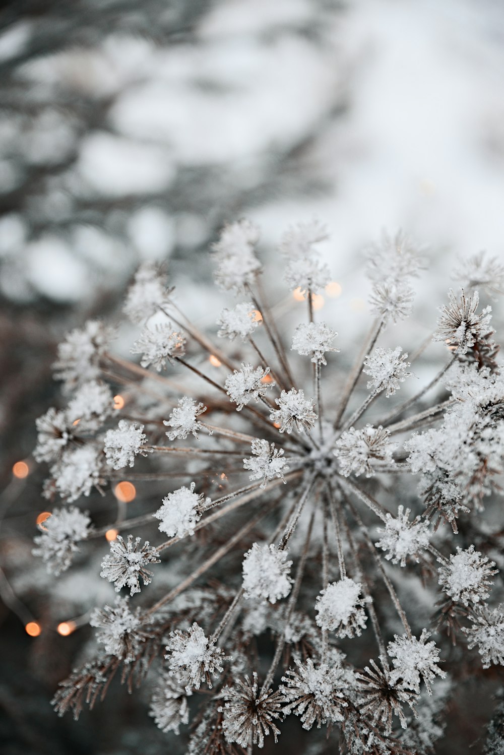 a close up of a snowflake with lights in the background
