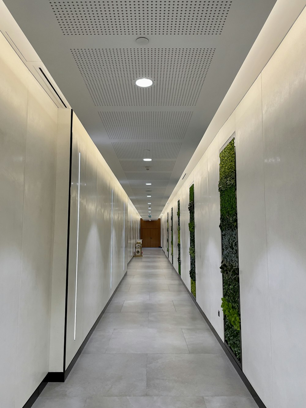 a long hallway with plants on the walls