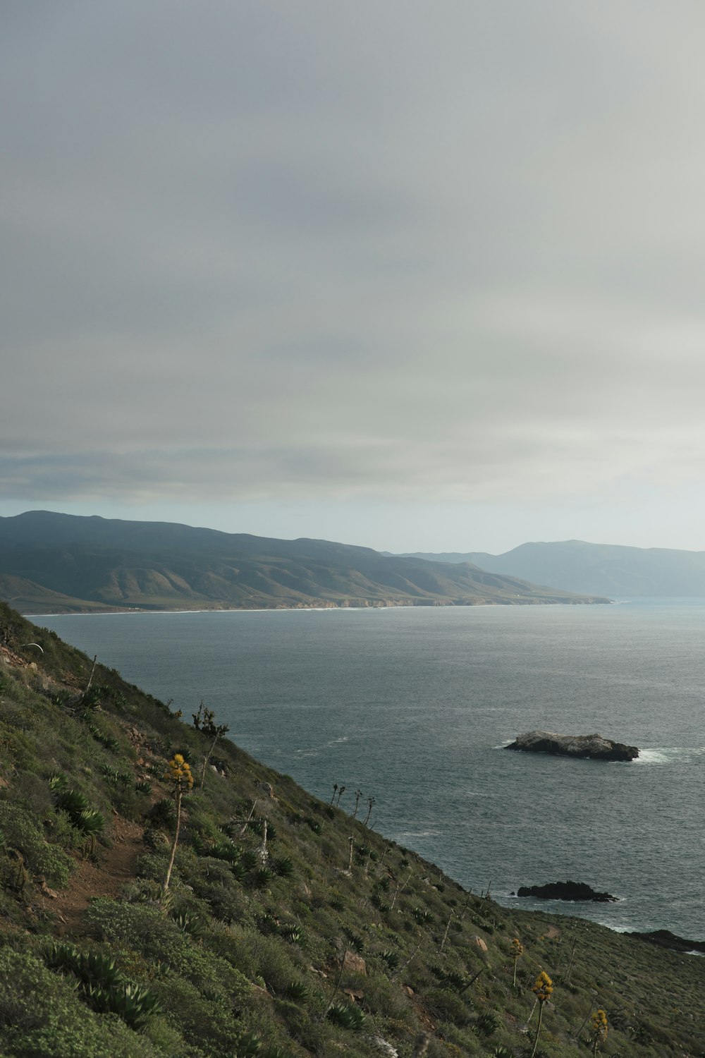 a man riding a horse down a hill next to a body of water