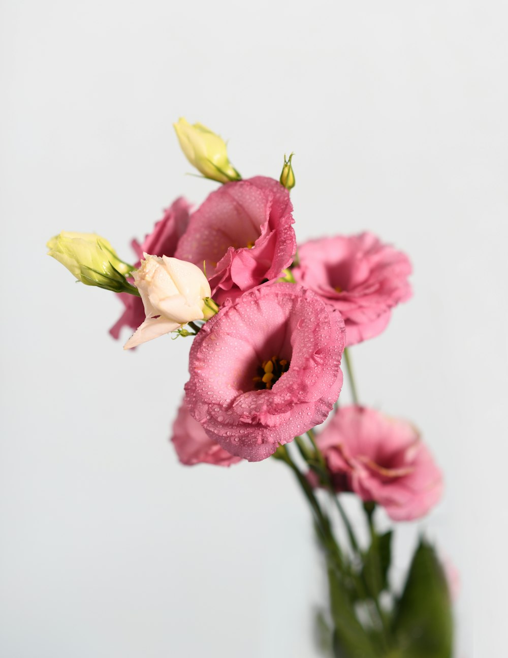 a vase filled with pink flowers on top of a table