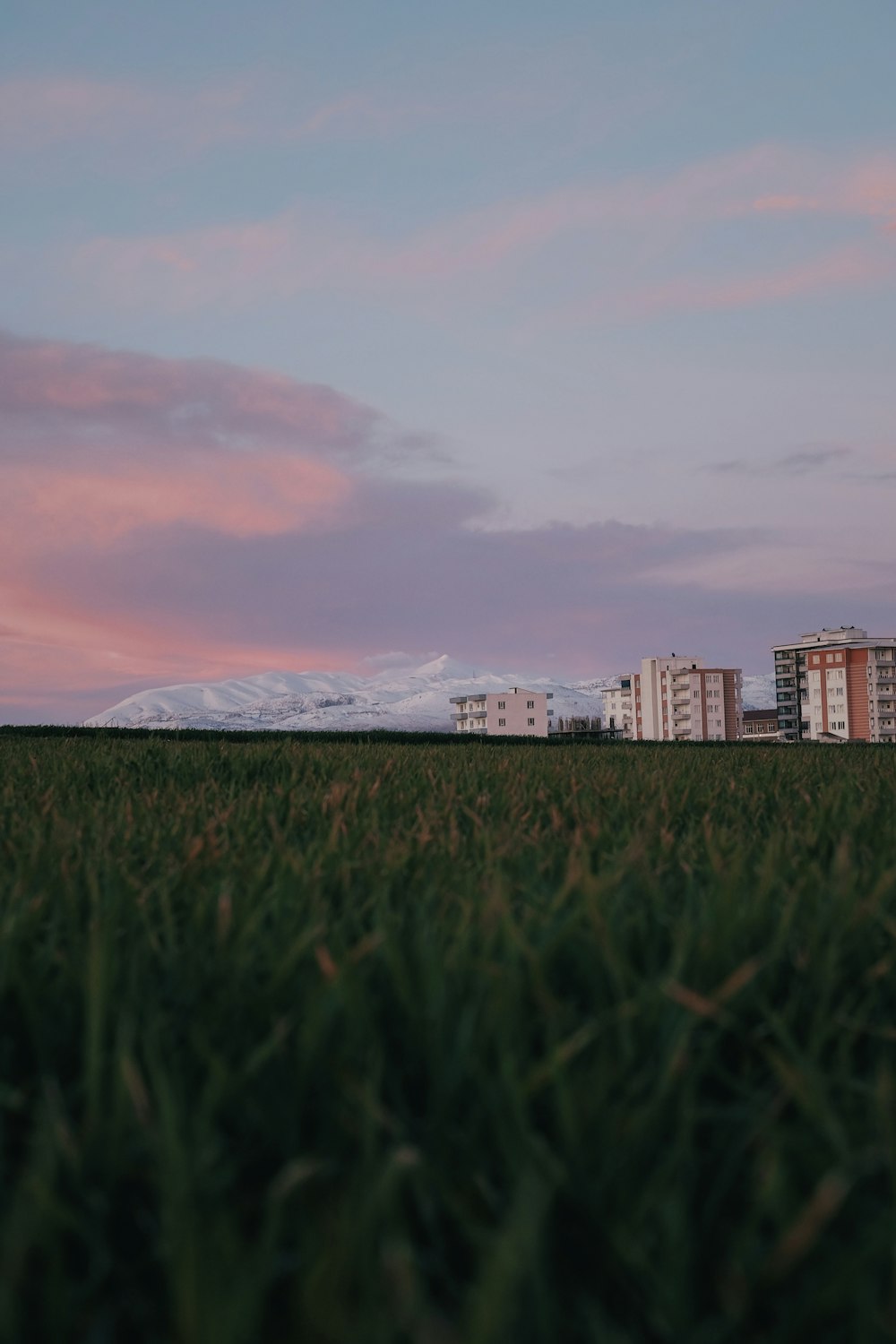 a grassy field with buildings in the background