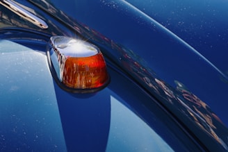 Close-up of a fresh, glossy paint finish on a restored vehicle under natural light.