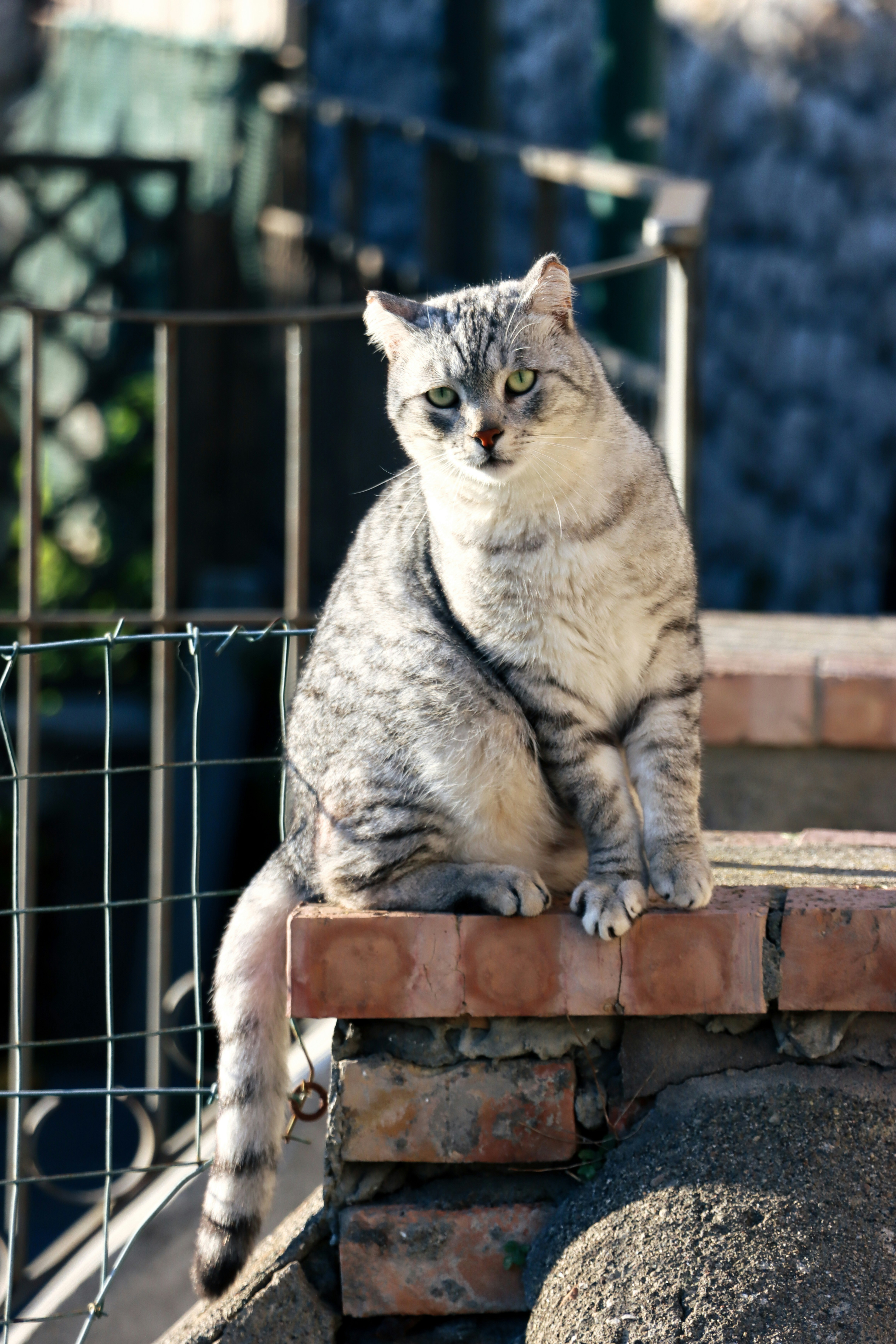 Photo by estefi_galeria