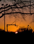 Evening practice session with shooters silhouetted against the sunset