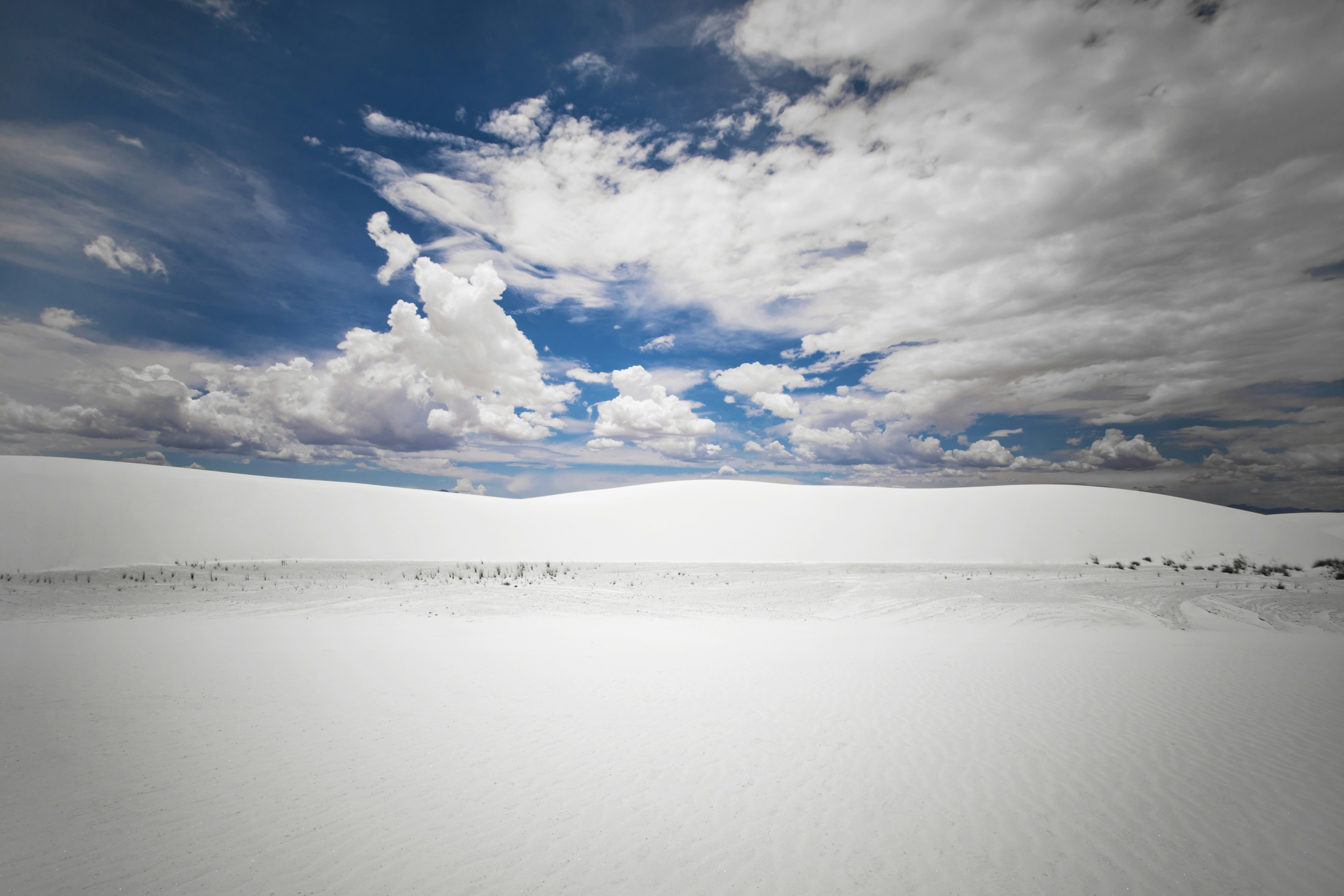 Photo by leo_visions_