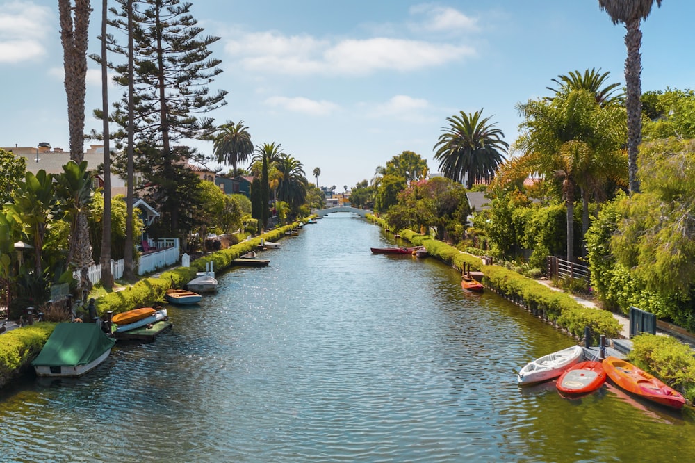 a river with a bunch of boats in it