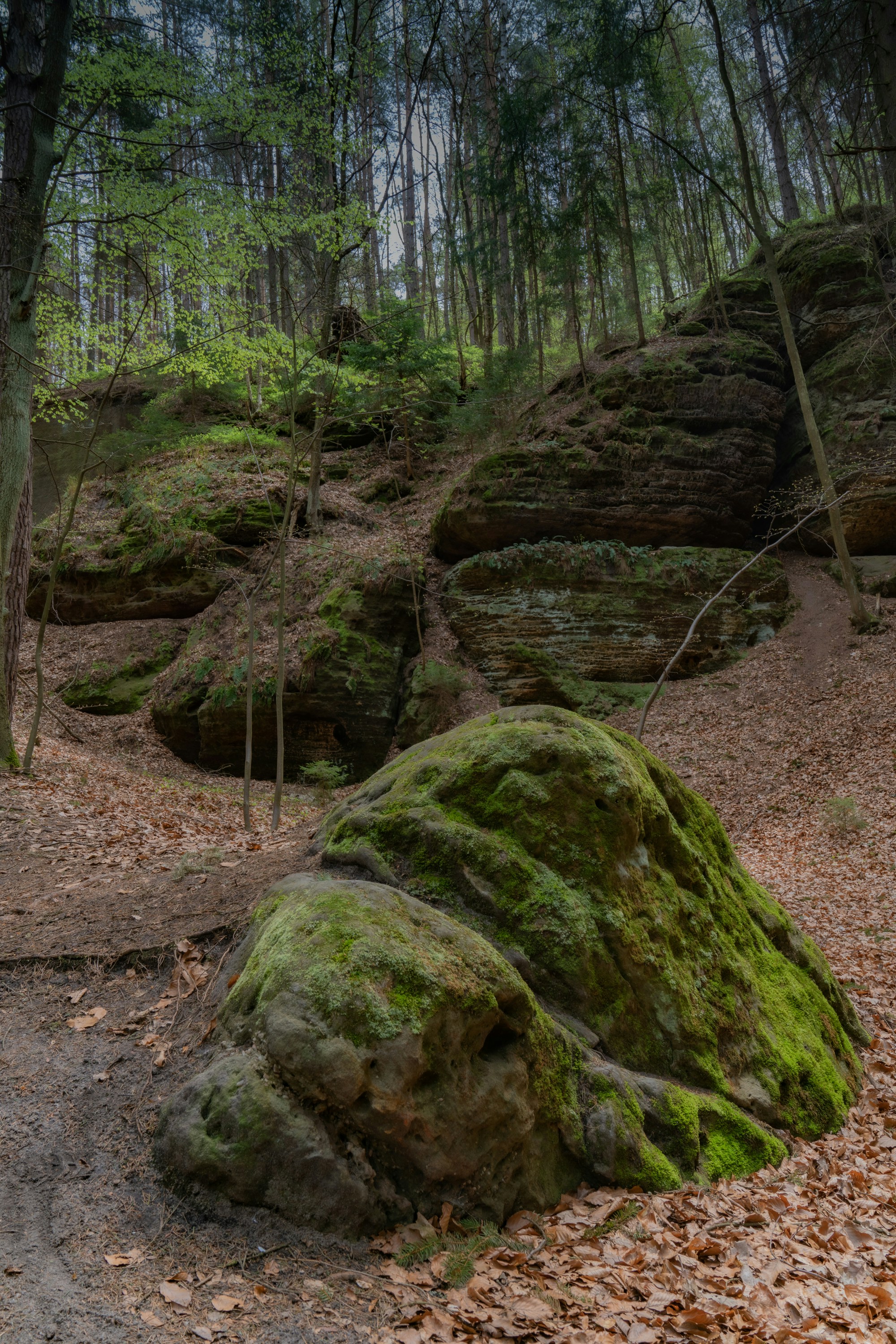 Photo by mikhail_mamaev