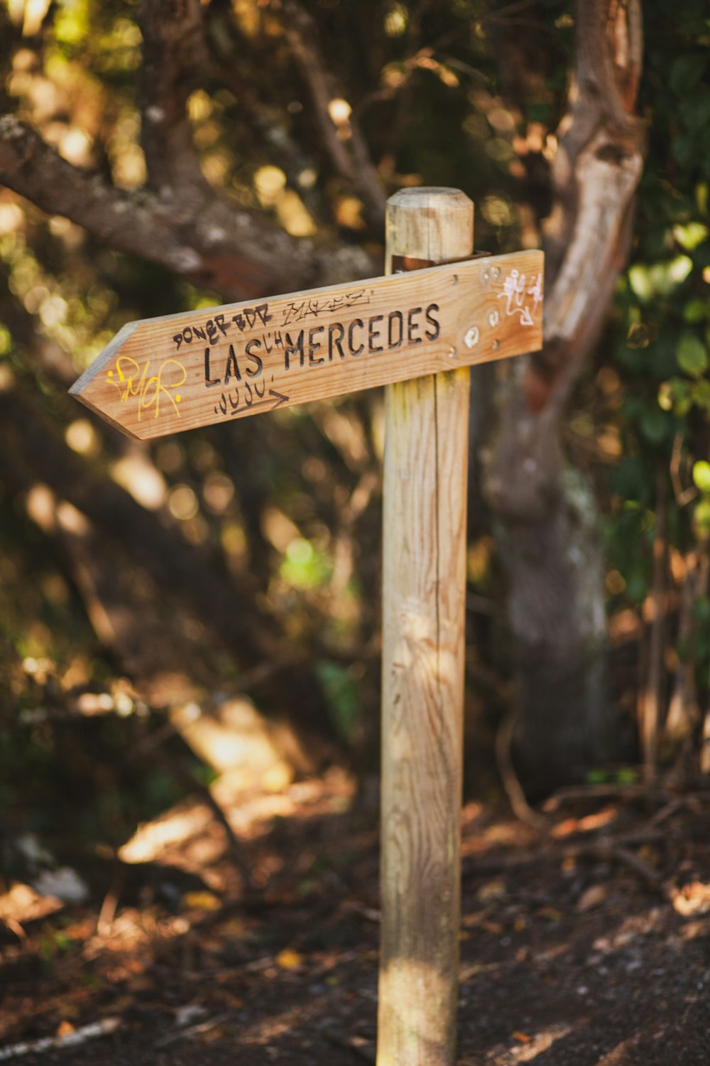 a wooden sign pointing in different directions