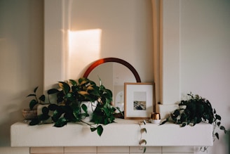 a white mantle with a mirror and plants on it