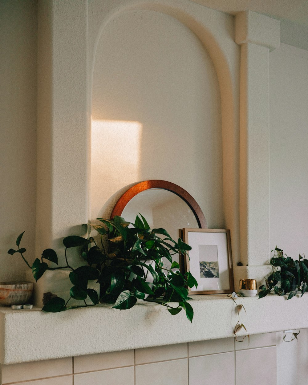 a picture of a mirror and some plants on a mantle