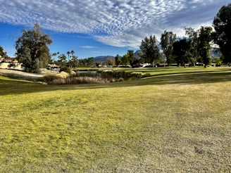 A lush green golf course with a vast expanse of grass, surrounded by tall trees and some palm trees. In the background, mountains are visible under a sky filled with scattered clouds, creating a picturesque scene.