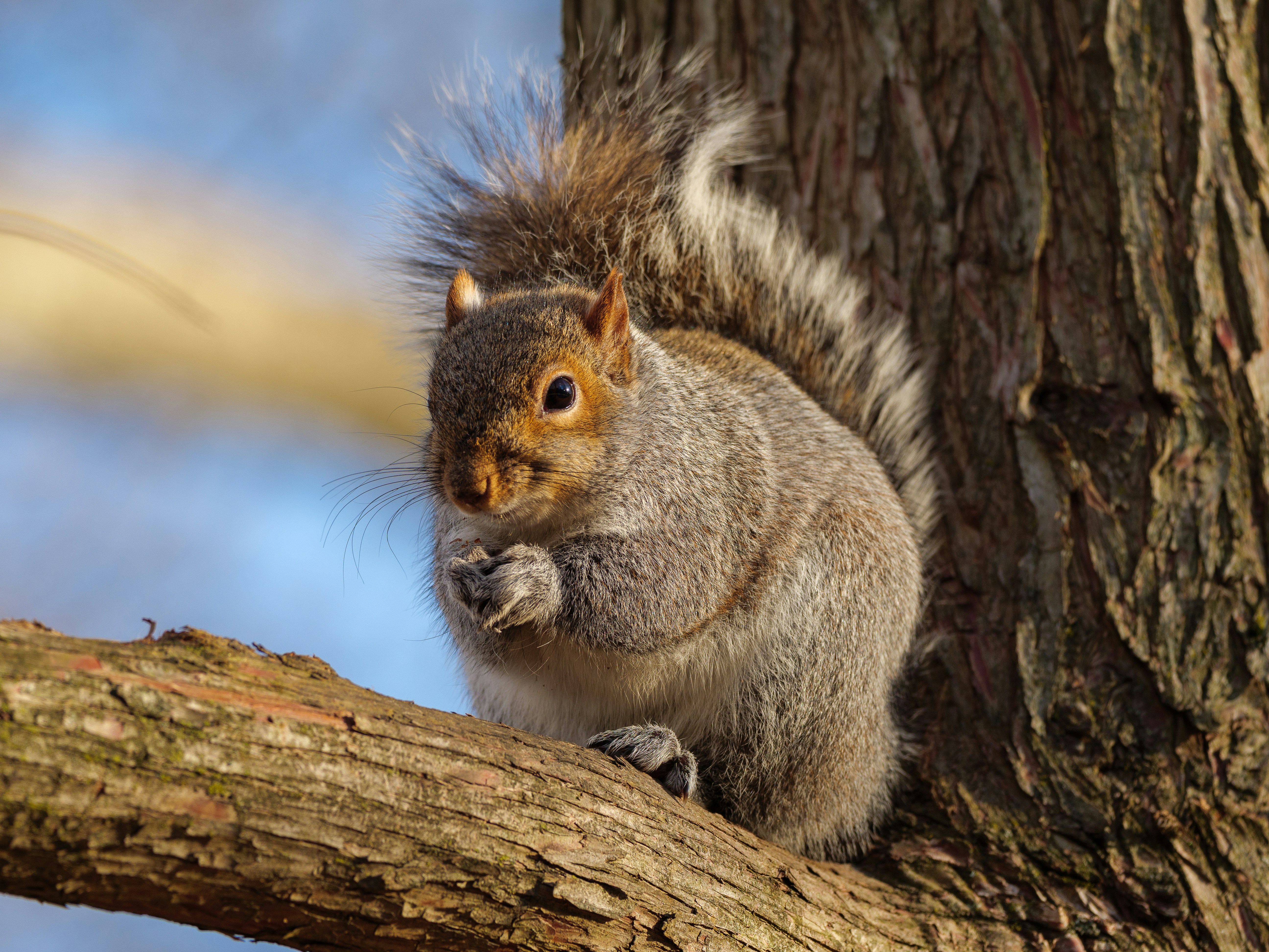 Photo by gabrielalmanzar