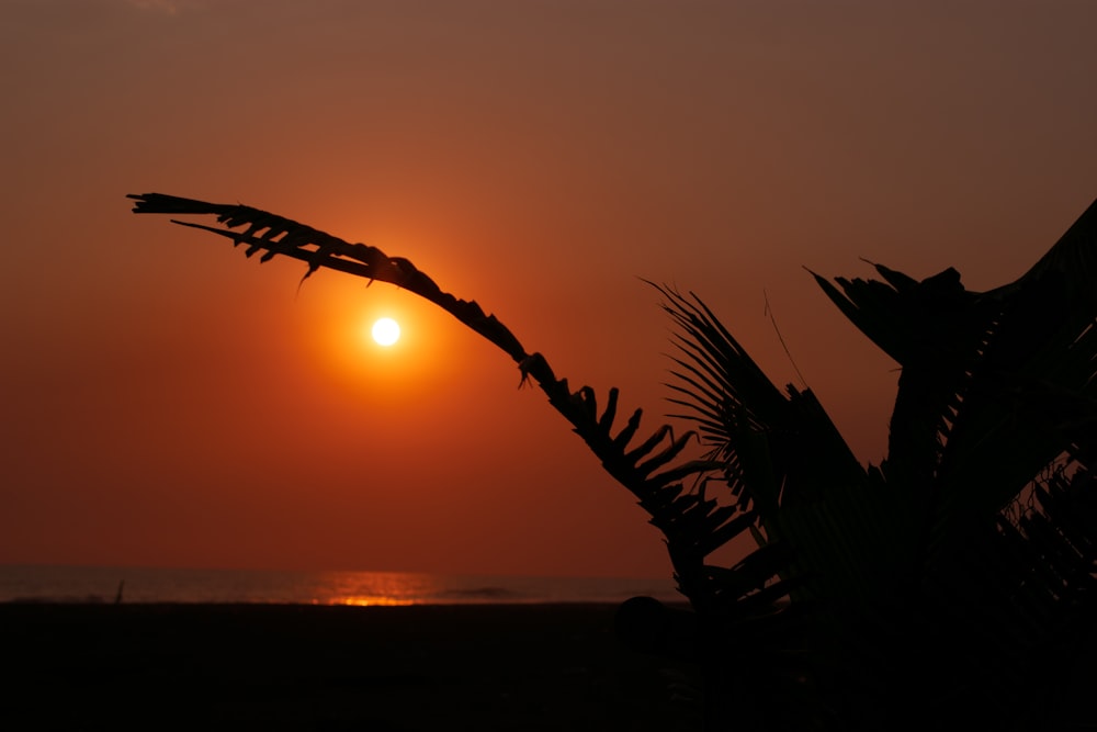 the sun is setting over a beach with palm trees